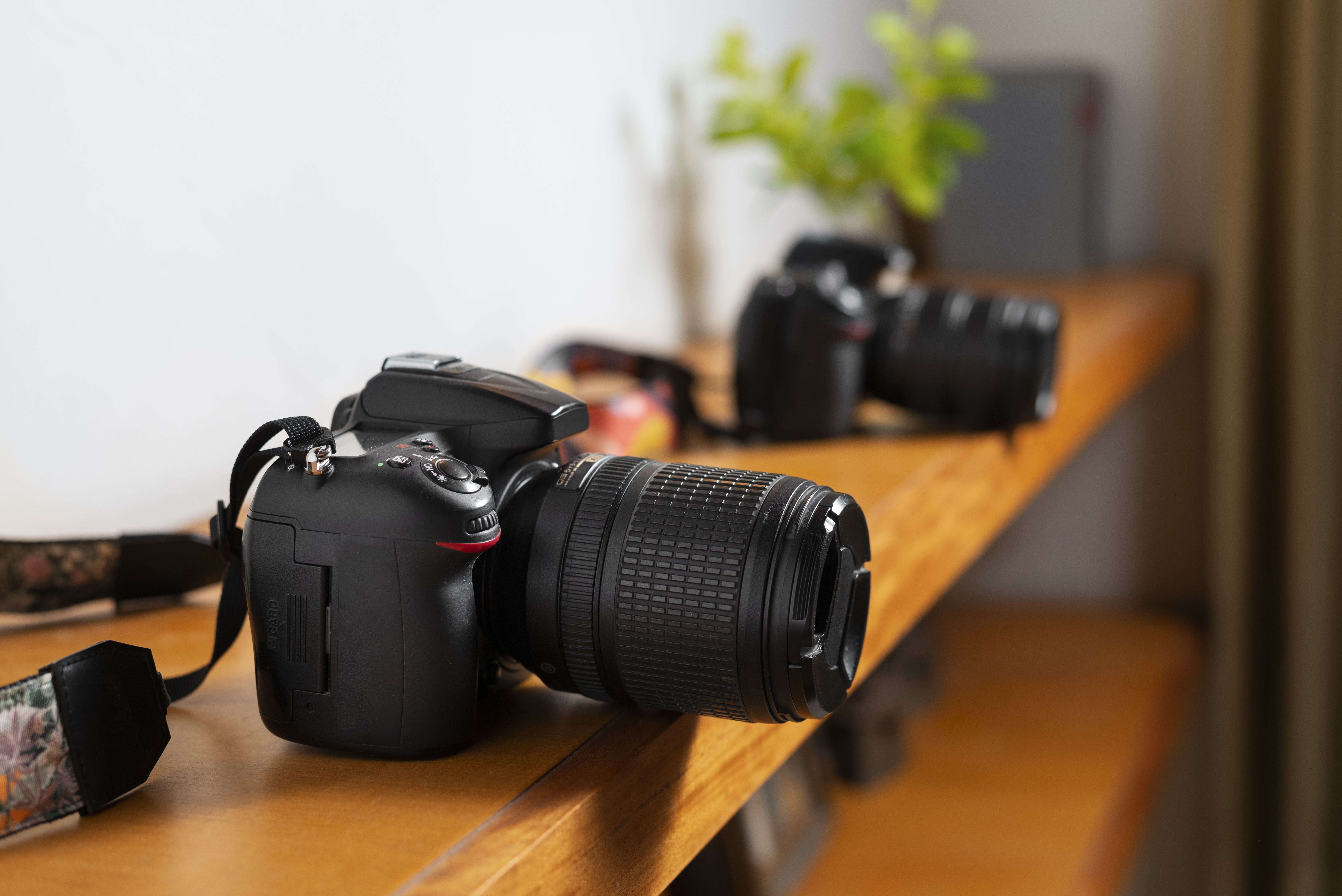 Como Criar um Portfólio Profissional com Câmeras Fotográficas Baratas